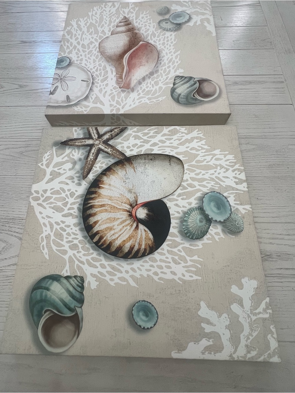 Coastal Seashell Canvas Set of 2 - Neutral & Teal Accents - 16”x16”
